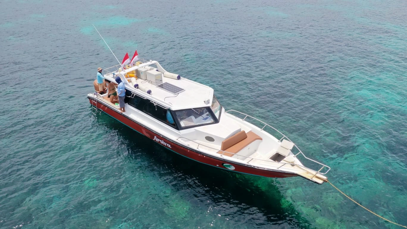Aravista Speedboat